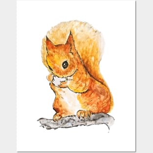 Squirrel Nutkin Peter Rabbit  Beatrix Potter Posters and Art